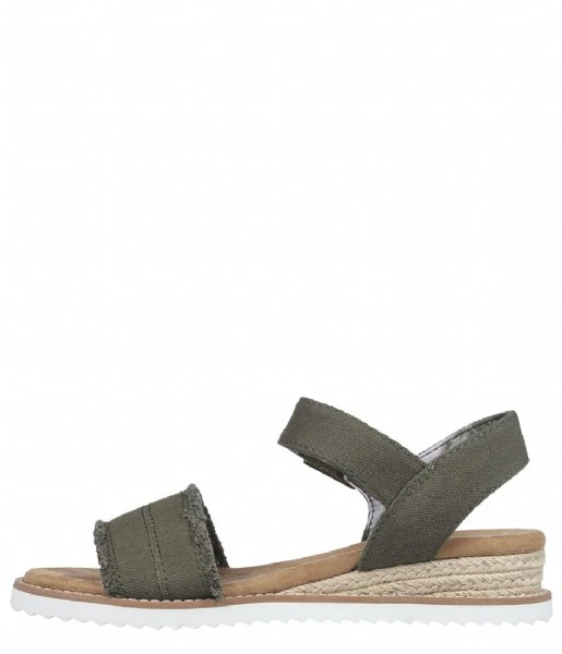 Desert Kiss Adobe Princess Olive